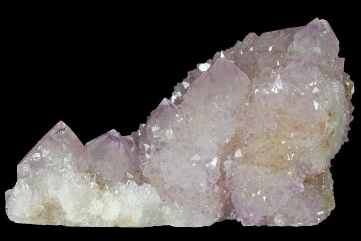 Cactus Quartz (Amethyst) Crystal Cluster - South Africa #132502